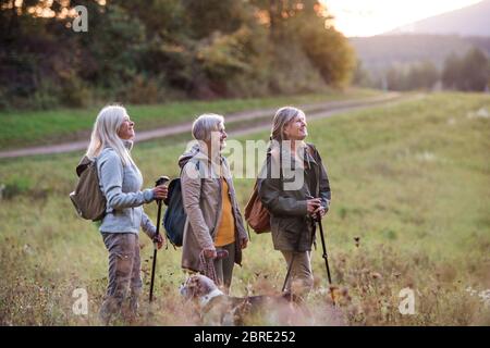 Les femmes âgées s'amis avec un chien en marche à l'extérieur dans la nature. Banque D'Images
