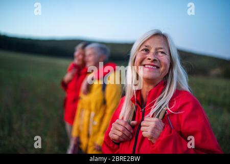 Des femmes âgées se promusent à l'extérieur dans la nature au crépuscule. Banque D'Images