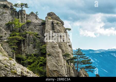 Arbres sur un rocher dans la montagne Demerdji. Paysage de Crimée, Russie. Banque D'Images