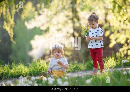 Petits enfants garçon et fille jouant à l'extérieur dans la nature printanière. Banque D'Images
