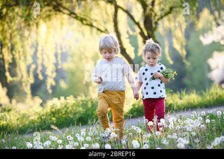 Petits enfants garçon et fille marchant à l'extérieur dans la nature printanière. Banque D'Images