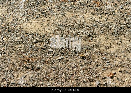 Texture de petites pierres de gravier sur un latte au soleil éclatant Banque D'Images