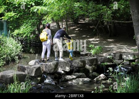 Endcliffe Park, Sheffield, pendant la phase d'alerte de la pandémie de coronavirus au Royaume-Uni. Cette phase est arrivée le 11 mai 2020, lorsque les personnes qui permettent d'exercer dans des espaces ouverts autant de fois et aussi longtemps qu'elles le souhaitent. Ils pourraient également pique-niquer dans le parc et rencontrer une autre personne à l'extérieur de leur groupe familial. La ligne de guidage sociale de distance de 2 mètres existe toujours. Banque D'Images