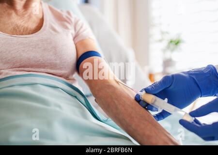 Examen d'une patiente âgée à l'hôpital, section médiane. Banque D'Images