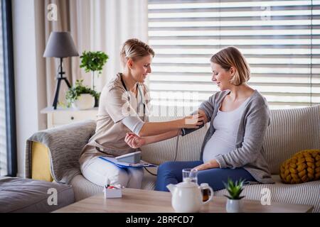 Un professionnel de la santé qui examine une femme enceinte à l'intérieur à la maison. Banque D'Images