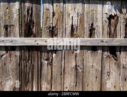 Planches verticales utilisées dans un cercle vertueux, Moorgates, North York Moors National Park, Yorkshire, Royaume-Uni Banque D'Images