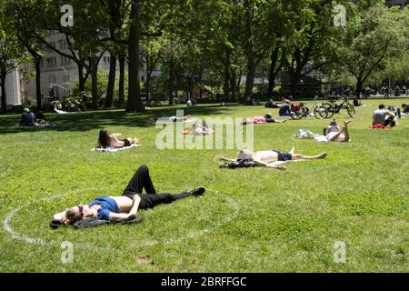 Le printemps est beau dans le Madison Square Park, NYC, USA Banque D'Images