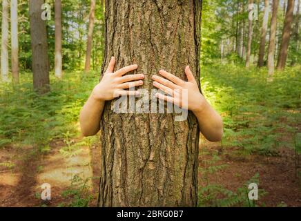 Image environnementale de déforestation d'un manifestant qui embrasse un tronc d'arbre pour le protéger d'être abattu avec un espace de copie. Banque D'Images