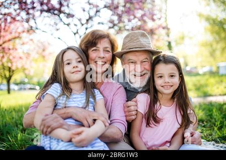 Grands-parents avec petites-filles assis dehors dans la nature printanière. Banque D'Images