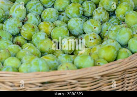 Un panier rempli de prunes de Reine Claude ou de greenengage sur un marché à Saint-Palais-sur-Mer, Charente-Maritime, sur la côte sud-ouest de la France. Banque D'Images