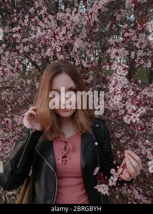 Sakura dans le parc El Retiro Banque D'Images