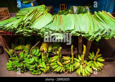 Bananes et leurs feuilles sur le marché local en Inde Banque D'Images