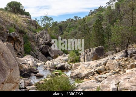 Rochers dans le lit d'Adelong Creek en Nouvelle-Galles du Sud Banque D'Images