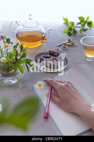 Main détendue de la femme avec stylo rose dans les doigts sur la page vide de journal. Il y a aussi une théière en verre non concentrée, une tasse avec thé, des chocolats et un bouquet de Banque D'Images