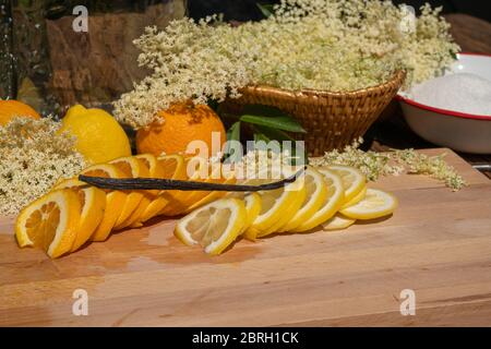 Sur une planche à découper se trouvent un citron organique en tranches et une orange biologique et une gousse de vanille pour la liqueur de sureau en arrière-plan sont des sureau Banque D'Images