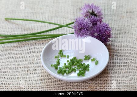 Ciboulette (Allium schoenoprasum) Herbe vivace, ciboulette fraîche aux fleurs et ciboulette hachée dans un bol Banque D'Images