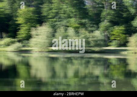 Un flou de mouvement d'un chemin de forêt et d'un lac Banque D'Images