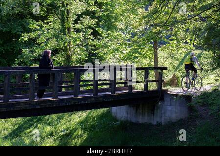 Un pont en bois dans une forêt avec une femme qui s'est penchée sur sa clôture et un cycliste qui passe Banque D'Images
