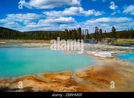 Milky HotSpring à Yellowstone Banque D'Images