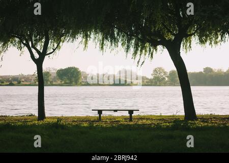 Banc vide au bord du lac à Pateira de Fermentelos, Portugal. Arbres en retrait avec de l'eau et de la flore comme arrière-plan. Concept de photo d'isolement Banque D'Images
