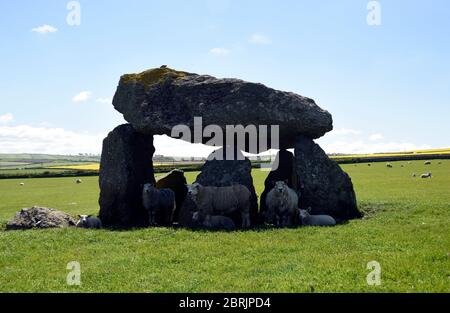 Carreg Samson, Dolmen néolithique, pierres sur pied, site de sépulture ancien, Abercastle, Pembrokeshire, pays de Galles, Royaume-Uni Banque D'Images