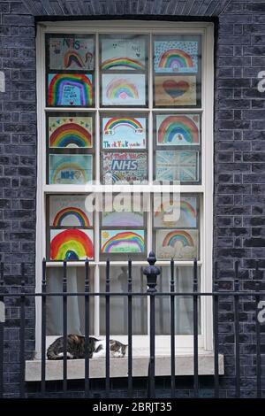 Larry le chat est assis à l'extérieur du 10 Downing Street, Londres, après le Clap de jeudi dans tout le pays pour que les soignants reconnaissent et soutiennent les travailleurs du NHS et les soignants luttant contre la pandémie du coronavirus. Banque D'Images