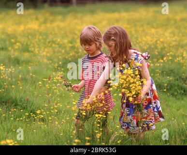 Jeunes filles cueillant des fleurs sauvages dans le champ, Winkfield, Berkshire, Angleterre, Royaume-Uni Banque D'Images
