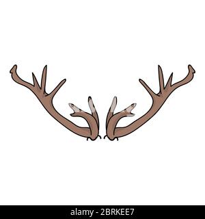 Image de cerf antler. Illustration de couleur plate du crâne de forêt. Motif animal forêt dessiné à la main et style cornet. Pour le motif bois, rustique Illustration de Vecteur