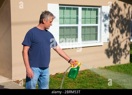 Propriétaire d'une maison, homme pulvérisant de l'herbe sur sa cour avant avec un tuyau de fixation plein de produits chimiques qui tue les mauvaises herbes et fertilise l'herbe. Banque D'Images