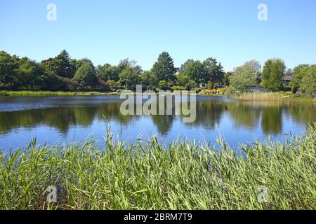 Paysage du parc aquatique de Sapokka qui est un charmant jardin public du centre-ville. Kotka, Finlande. Banque D'Images