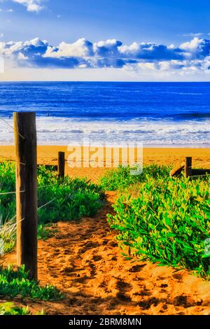 Entrée à la plage de Bungan à travers la végétation verte dans un paysage marin vertical le matin ensoleillé chaud contre le ciel bleu. Banque D'Images