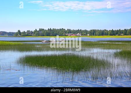 Magnifique paysage avec des roseaux dans l'eau et des villageois les rives de la rivière Kymi, près de Kotka, Finlande. Banque D'Images