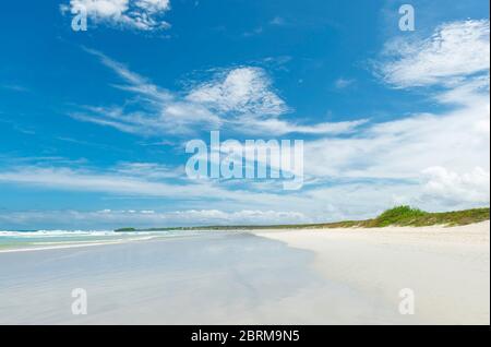 Plage de Tortuga avec dunes de sable sur l'île de Santa Cruz, parc national de Galapagos, Équateur. Banque D'Images