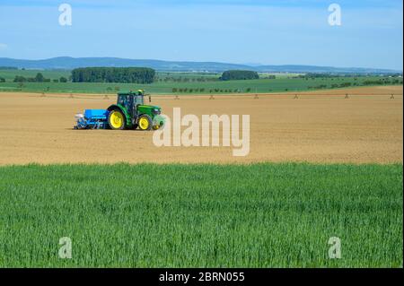 Le tracteur sème les récoltes dans le champ de grain, ciel bleu Banque D'Images