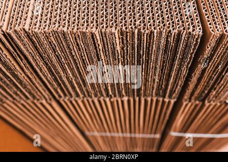 Détail macro des feuilles de carton ondulé. Banque D'Images