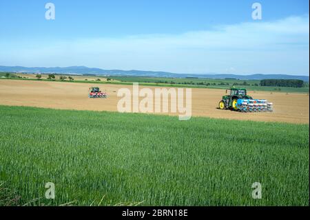 Deux tracteurs semis de récolte sur le champ de grain, ciel bleu Banque D'Images