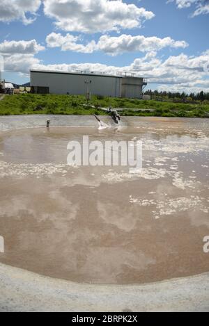 Un étang de retenue utilise l'aération pour éliminer les polluants des eaux usées industrielles Banque D'Images