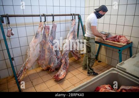 Munich, Allemagne. 18 mai 2020. Thomas Lacey, gardien d'animaux, coupe des morceaux de viande pour l'entraînement avec les lions. Cirkus Krone a également été touché par la crise de Corona. Crédit : Lino Mirgeler/dpa/Alay Live News Banque D'Images