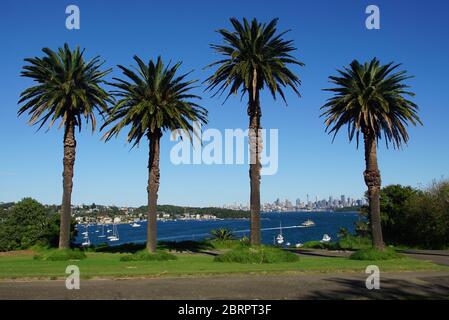 Quatre palmiers qui se tiennent à la garde au-dessus de la ligne d'horizon de Sydney Banque D'Images