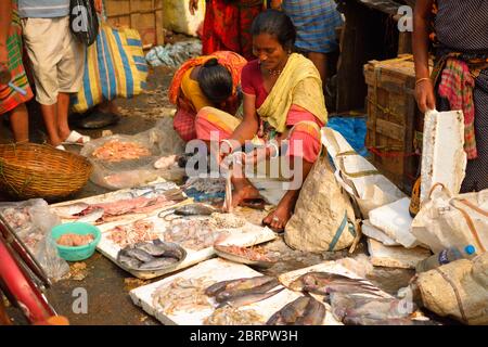 Une femme qui vend du poisson cru sur le marché. Banque D'Images