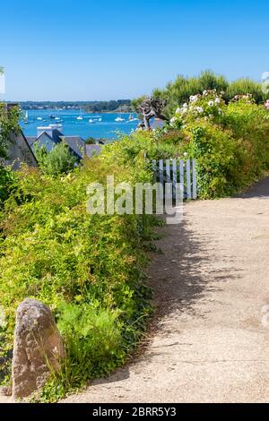 Bretagne, Ile aux Moines dans le golfe du Morbihan, petite rue et belles maisons dans le village Banque D'Images