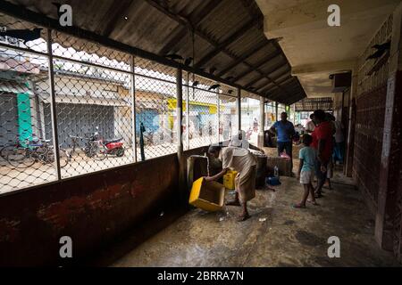Jaffna / Sri Lanka - 15 août 2019: Personnes vendant le marché local de poisson dans la ville de Jaffna Banque D'Images