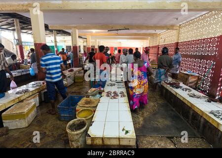 Jaffna / Sri Lanka - 15 août 2019: Personnes vendant le marché local de poisson dans la ville de Jaffna Banque D'Images