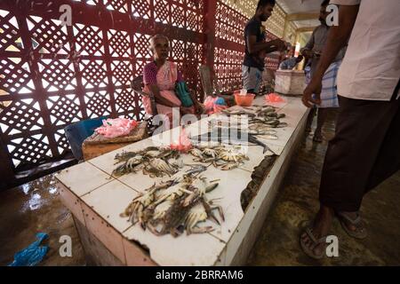 Jaffna / Sri Lanka - 15 août 2019: Personnes vendant le marché local de poisson dans la ville de Jaffna Banque D'Images