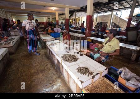 Jaffna / Sri Lanka - 15 août 2019: Personnes vendant le marché local de poisson dans la ville de Jaffna Banque D'Images