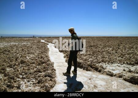 Voyageur marchant sur le sentier de Salar de Atacama, vaste plat de sel chilien à l'altitude de 2,305 M. dans la région d'Antofagasta, nord du Chili Banque D'Images