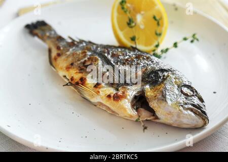 Cuit au four de poisson de mer dorado avec de la chaux, des olives et des oignons. Poisson dorada grillé sur l'assiette, gros plan. Banque D'Images