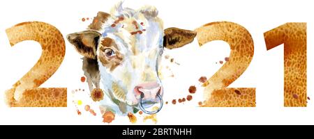 Nouvel an 2021 aquarelle avec une tête de taureau isolée sur fond blanc Banque D'Images