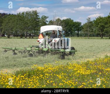 vieux tracteur et faneuse de foin dans un pré près du champ rempli de butterbutter Banque D'Images