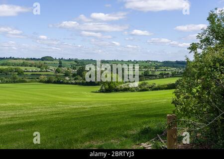 Vue sur la campagne au printemps depuis le village de Great Brington, Northamptonshire, Royaume-Uni Banque D'Images